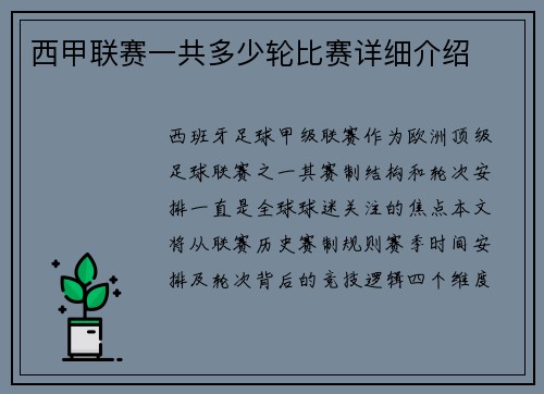 西甲联赛一共多少轮比赛详细介绍