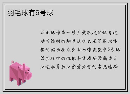 羽毛球有6号球